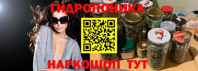 сатива Краснокаменск
