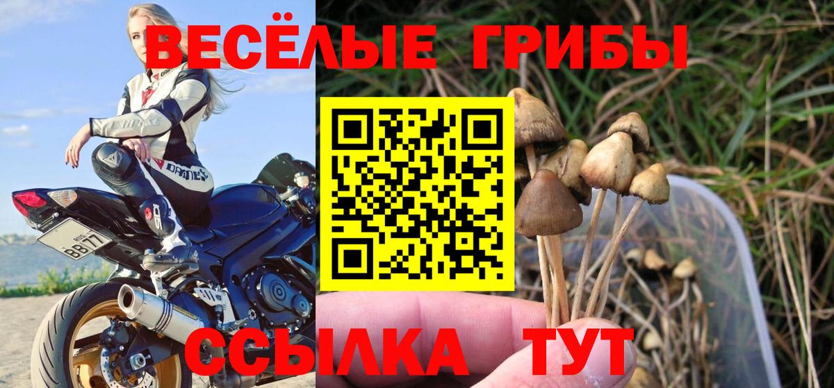 Псилоцибиновые грибы мухоморы Златоуст
