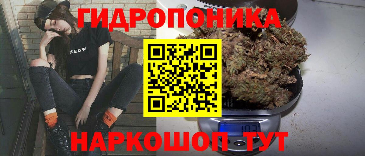 Конопля тримм  Конопля Amnesia  Вход с VPN  Златоуст  Конопля тримм  Бошки марихуана White Widow 