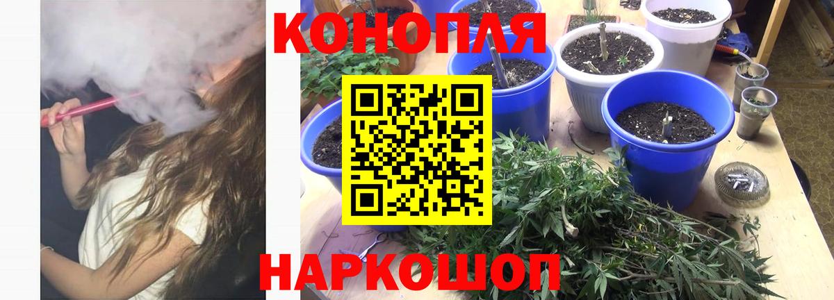 Каннабис MAZAR Златоуст